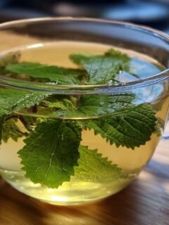Lemon Balm Recipe for Weight Loss – Slimming Tea