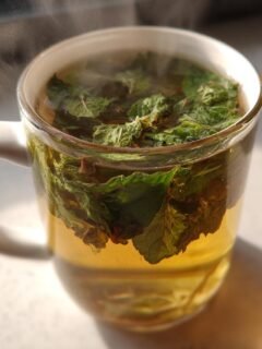 Lemon Balm for Weight Loss Recipe – Herbal Tea