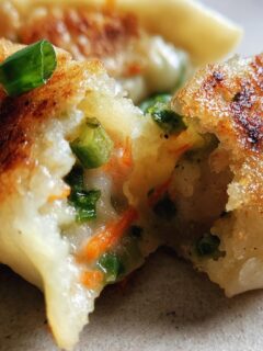 Shrimp and Vegetable Dumpling Recipe